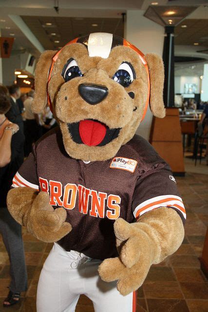 The Unique Qualities of Chomps: Exploring the Cleveland Browns Mascot